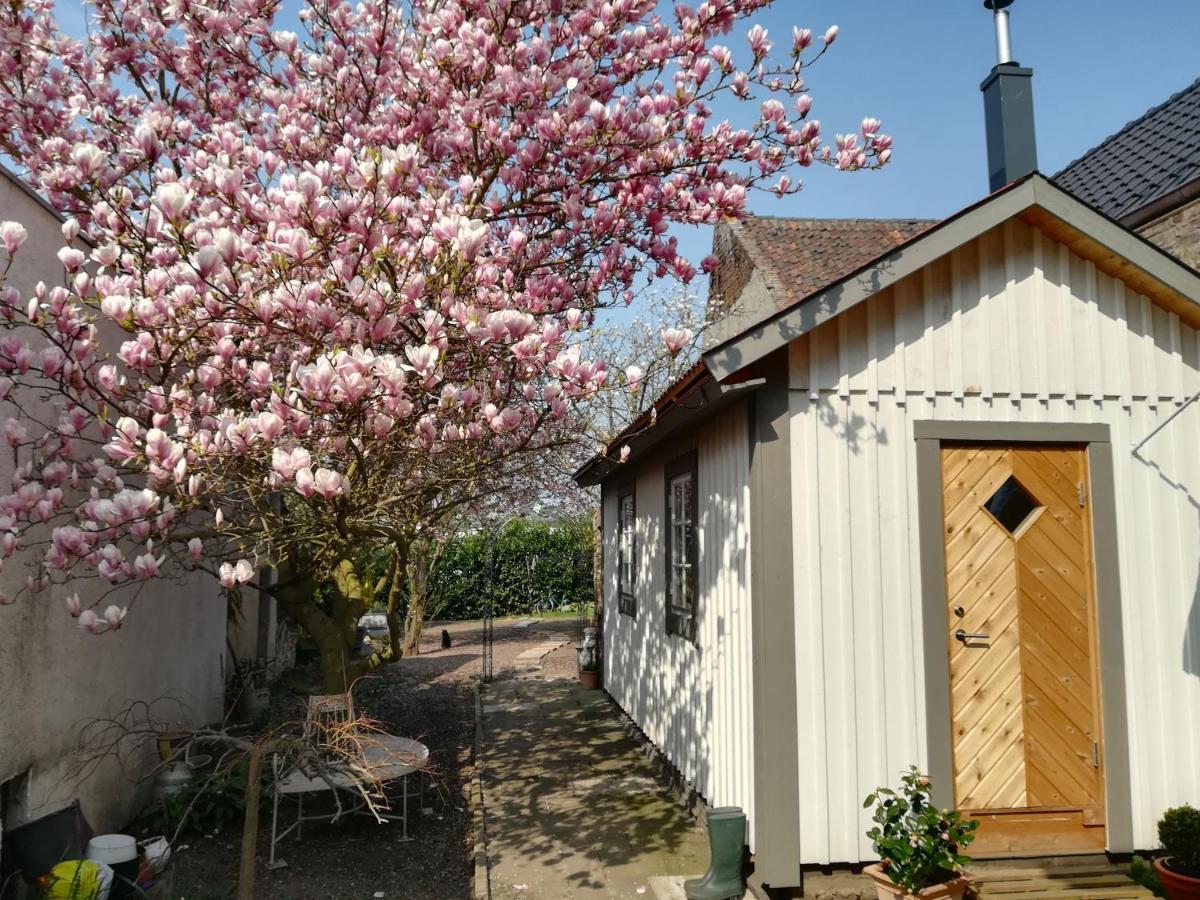 Schwedenliebe Appartement Frechen Buitenkant foto